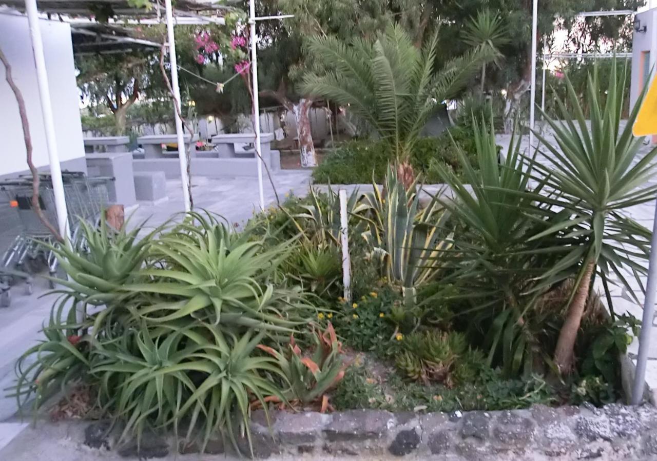 Santorini Camping & Hostel Fira  Luaran gambar