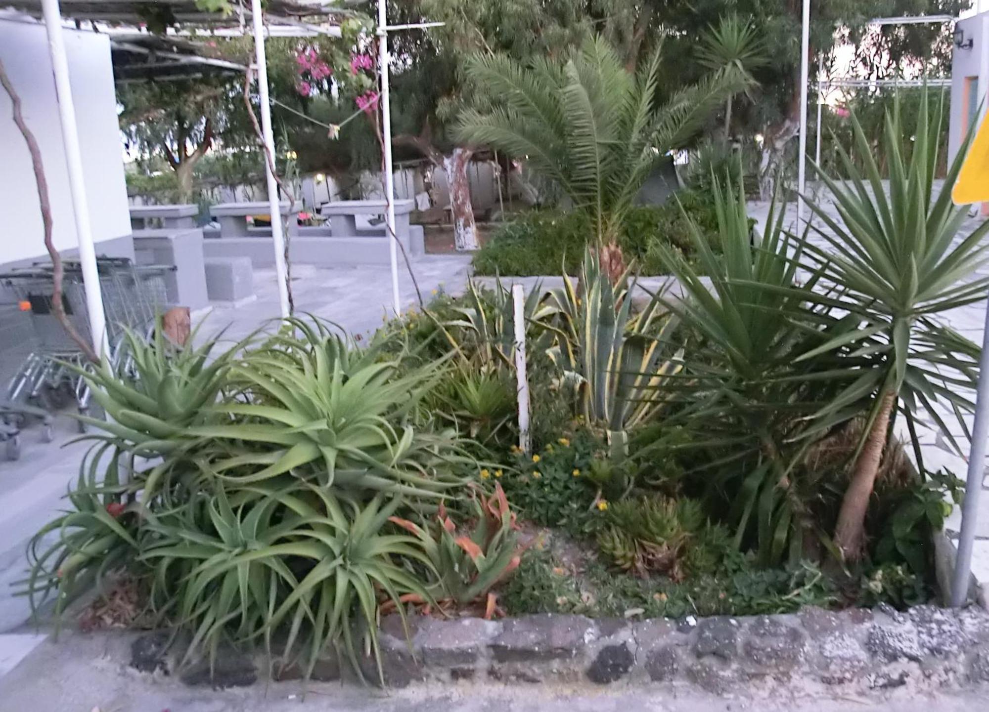 Santorini Camping & Hostel Fira  Luaran gambar